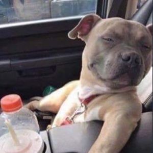 Meet your Posher, Marco